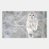 Schönes weißes Schneeballdesign Rechteckiger Aufkleber (Vorderseite)