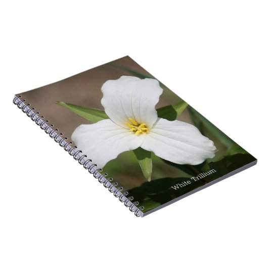 Schönes weißes Trillium Notizblock (Rechte Seite)