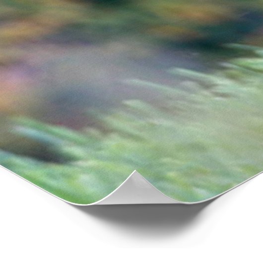 Schönes Weißschwanz-Hirsch im Feld Poster (Ecke)