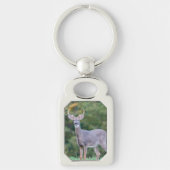 Schönes weißschwanziges Hirsch im Feld Schlüsselanhänger (Vorderseite)