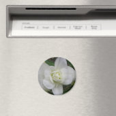 Schönes White Carnation Magnet (In Situ (Geschirrspüler))