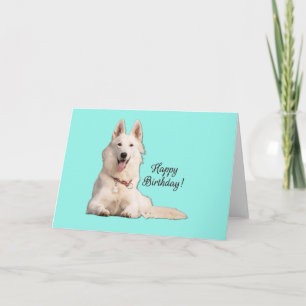 Schönes White German Shepherd Happy Birthday Karte