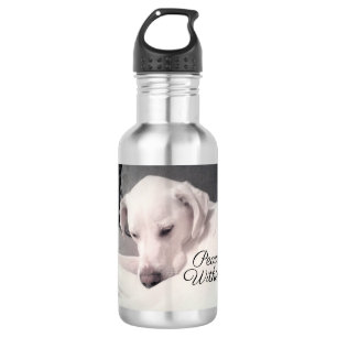 Schönes White Labrador Mix Dog Frieden in Stai Edelstahlflasche