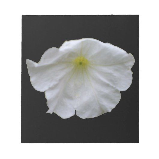 Schönes White Petunia Notepad Notizblock (Vorderseite)