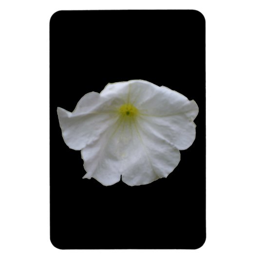 Schönes White Petunia Premium Magnet (Vertikal)