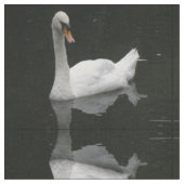 Schönes White Swan Gemustertes Tiergewebe Stoff (Nahaufnahme)