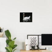 Schönes White Swan Poster (Heimbüro)