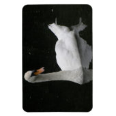 Schönes White Swan Premium Magnet (Vertikal)