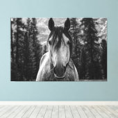 Schönes Wild Spirited Horse Black and White Leinwanddruck (Insitu (Holzboden))