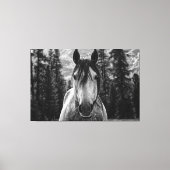 Schönes Wild Spirited Horse Black and White Leinwanddruck (Vorderseite)