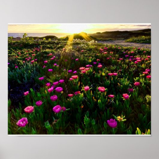 Schönes wildes Blume-Sonnenuntergangsplakat Poster (Vorne)