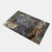 Schönes Wildes Bobcat Foto Fußmatte (Schrägansicht)