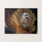 Schönes Wildlife Jigsaw Puzzle (Horizontal)