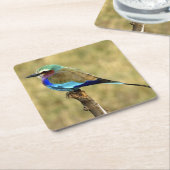Schönes Wildlife Untersetzer Set (angewinkelt)