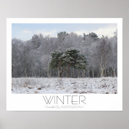 Schönes Winterposter! Poster (Vorne)