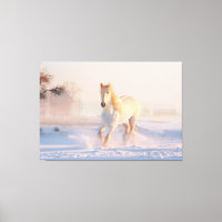 Schönes Winterweiße Pferd
