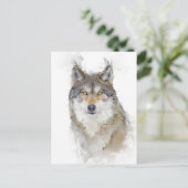 Schönes Wolf Portrait Postkarte (Stehend Vorderseite)