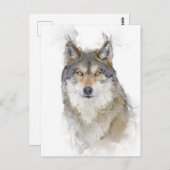 Schönes Wolf Portrait Postkarte (Vorne/Hinten)