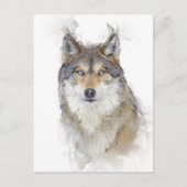 Schönes Wolf Portrait Postkarte (Vorderseite)