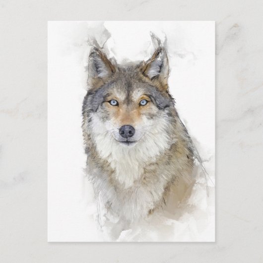 Schönes Wolf Portrait Postkarte (Vorderseite)