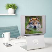 Schönes Wolfskopfbild Aufkleber (Laptop auf Schreibtisch)