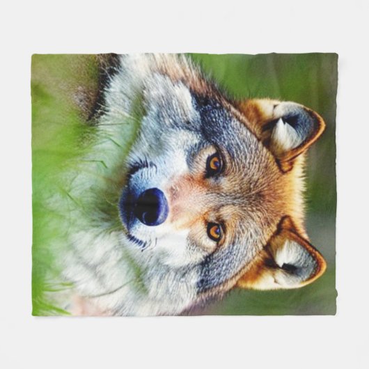 Schönes Wolfskopfbild Fleecedecke (Vorderseite (Horizontal))
