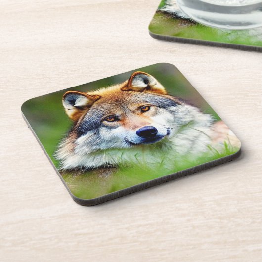 Schönes Wolfskopfbild Getränkeuntersetzer (Linke Seite)