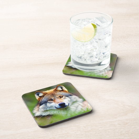 Schönes Wolfskopfbild Getränkeuntersetzer (Rechte Seite)