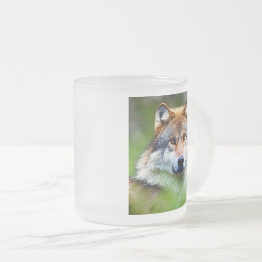 Schönes Wolfskopfbild Mattglastasse (VorderseiteRechts)
