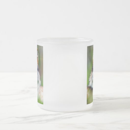 Schönes Wolfskopfbild Mattglastasse (Mittel)