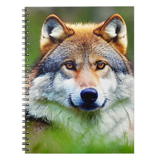 Schönes Wolfskopfbild Notizblock (Vorderseite)