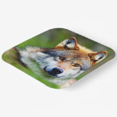 Schönes Wolfskopfbild Pappteller (Gewinkelt)