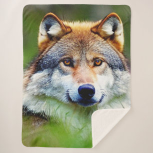 Schönes Wolfskopfbild Sherpadecke