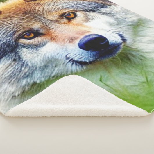 Schönes Wolfskopfbild Sherpadecke (3/4)