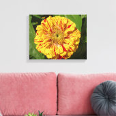 Schönes Zinnia Leinwanddruck (Insitu (Wohnzimmer))