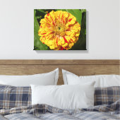Schönes Zinnia Leinwanddruck (Insitu (Schlafzimmer))