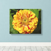 Schönes Zinnia Leinwanddruck (Insitu (Holzboden))