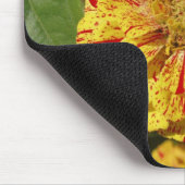 Schönes Zinnia Mousepad (Ecke)