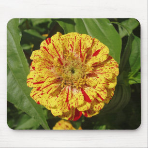 Schönes Zinnia Mousepad