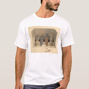 Schongebiet des Tempels von Abu Simbel, von T-Shirt