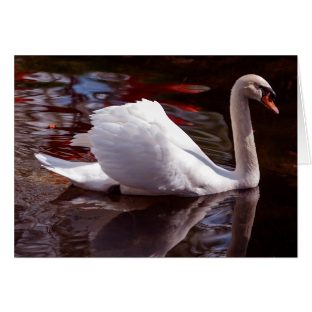 Schönheit (Vorderseite (Horizontal))