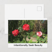 Schönheit bewusst suchen postkarte (Vorne/Hinten)