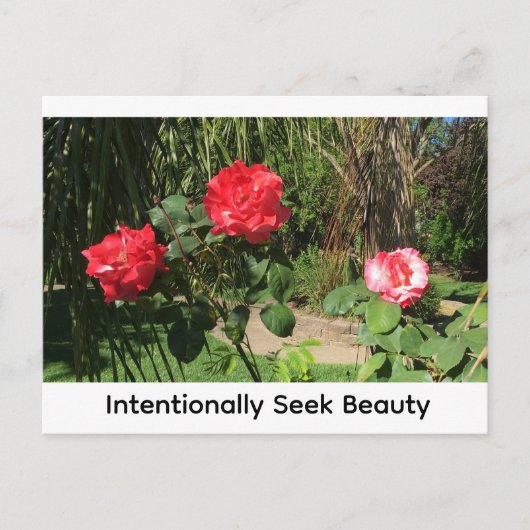 Schönheit bewusst suchen postkarte (Vorderseite)