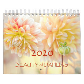 Schönheit der Dahlias-Blume 2020 Kalender