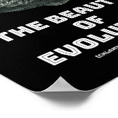Schönheit der Evolution Poster (Ecke)