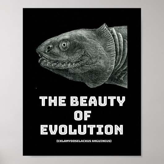 Schönheit der Evolution Poster (Vorne)