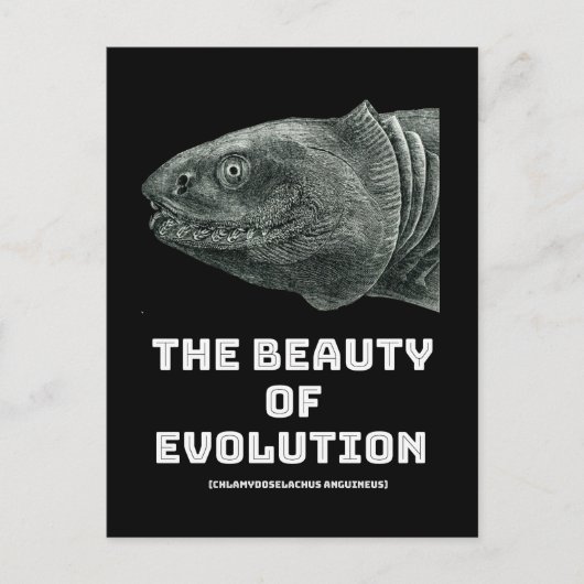 Schönheit der Evolution Postkarte (Vorderseite)