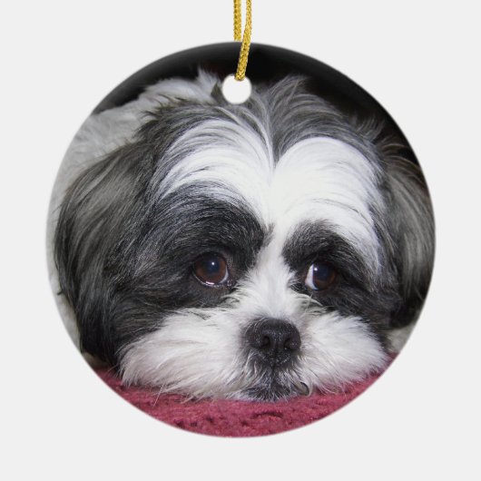Schönheit der Hund Shih Tzu Keramikornament (Vorne)