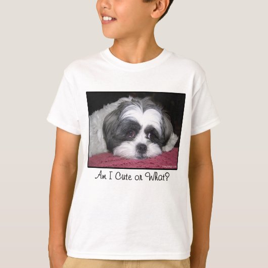 Schönheit der Hund Shih Tzu T-Shirt (Vorderseite)