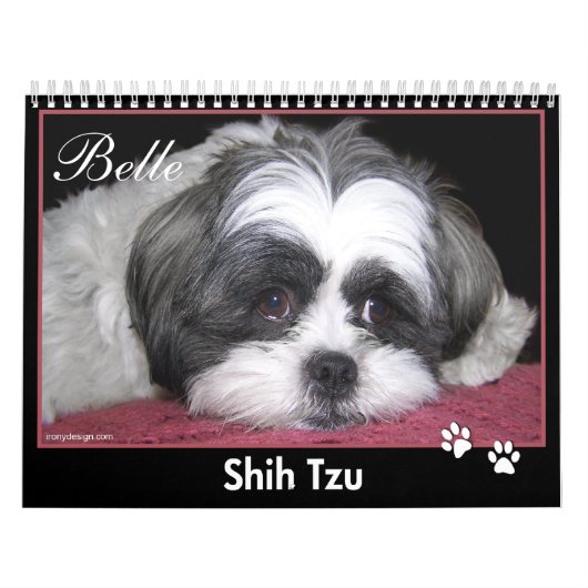 Schönheit der Kalender Shih Tzu (Titelbild)